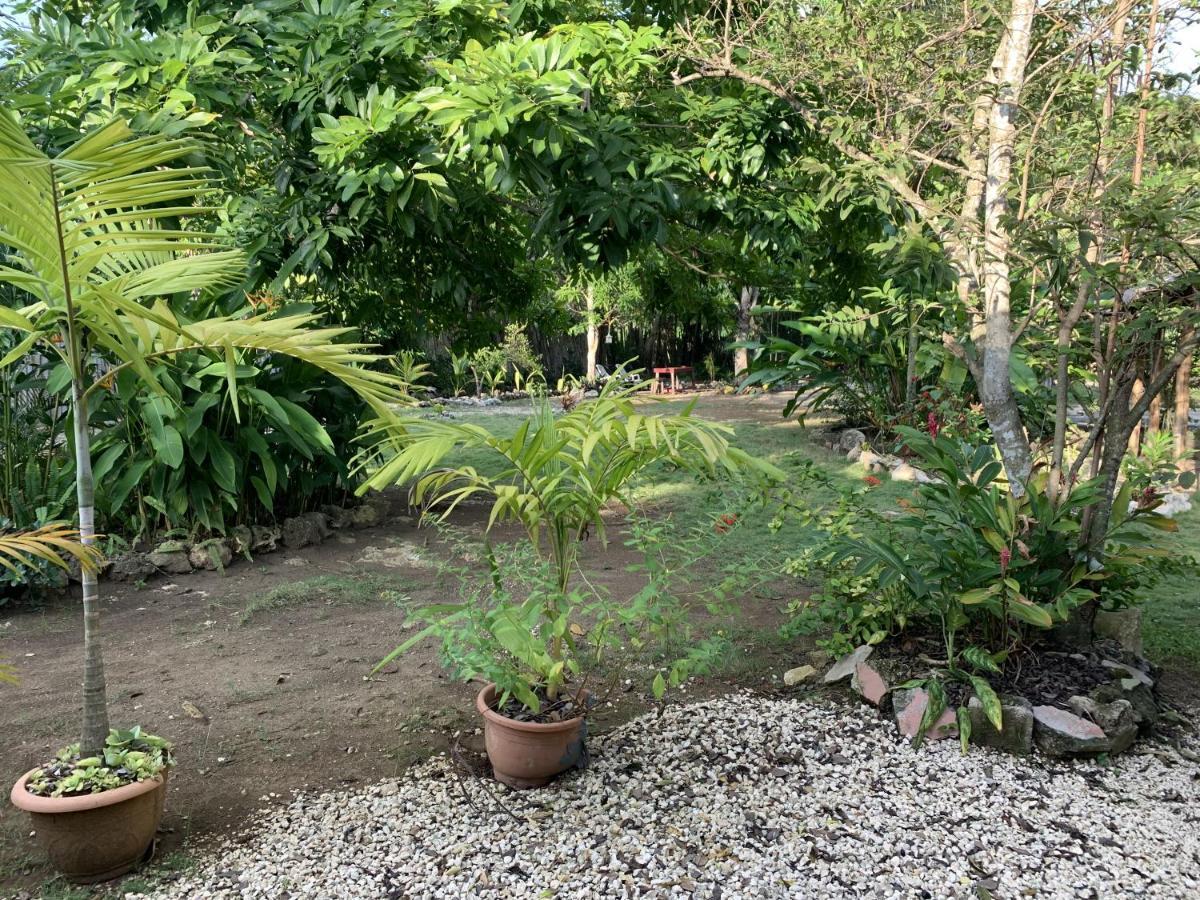 Can Jam Retreat Negril Ngoại thất bức ảnh
