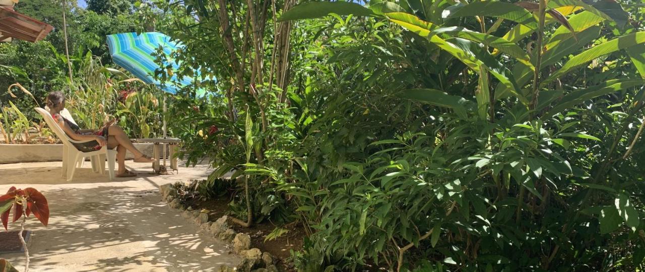Can Jam Retreat Negril Ngoại thất bức ảnh