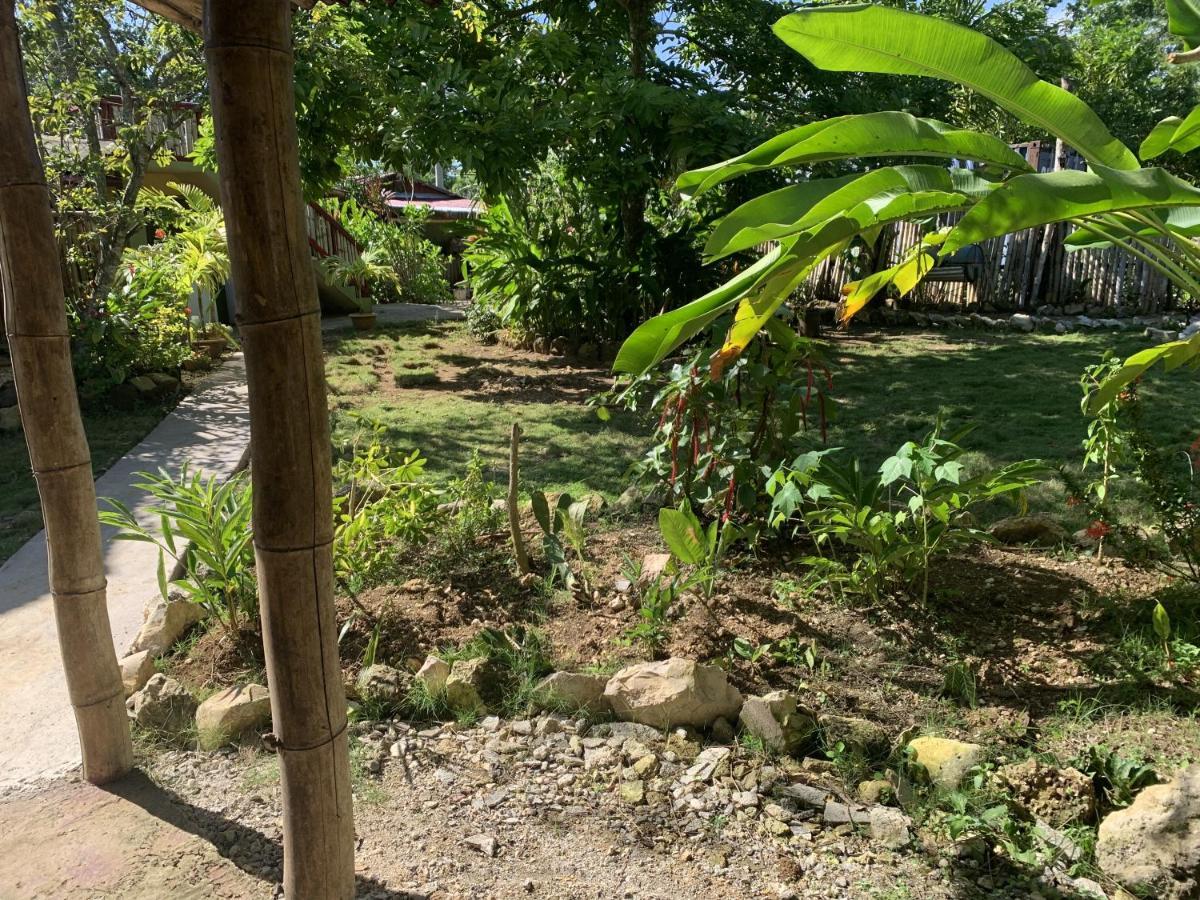 Can Jam Retreat Negril Ngoại thất bức ảnh