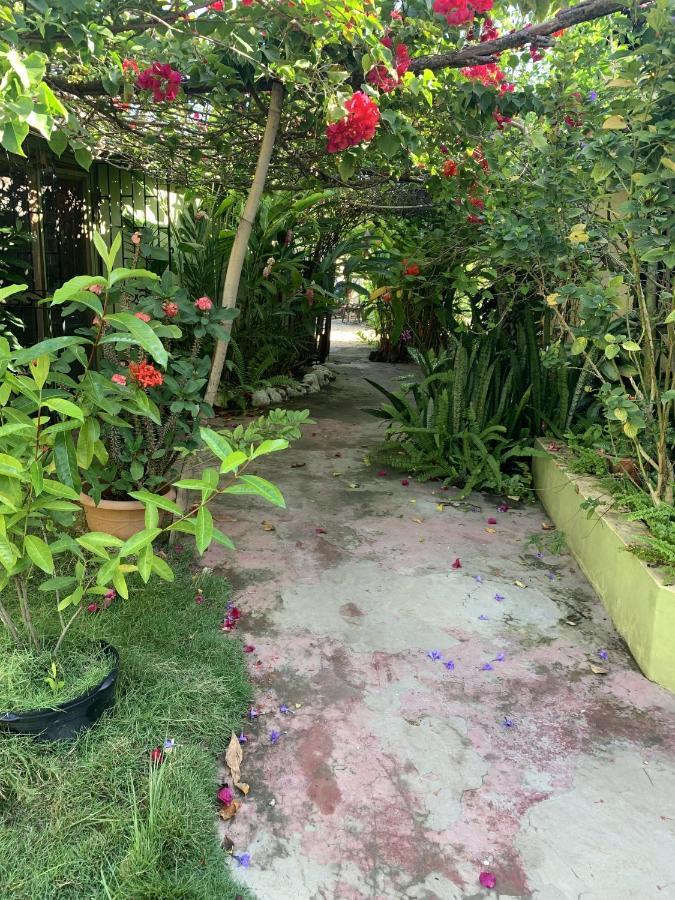 Can Jam Retreat Negril Ngoại thất bức ảnh
