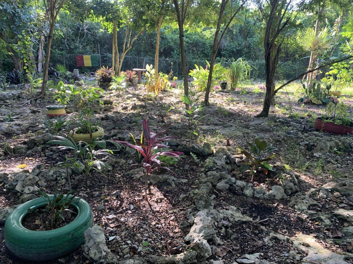 Can Jam Retreat Negril Ngoại thất bức ảnh