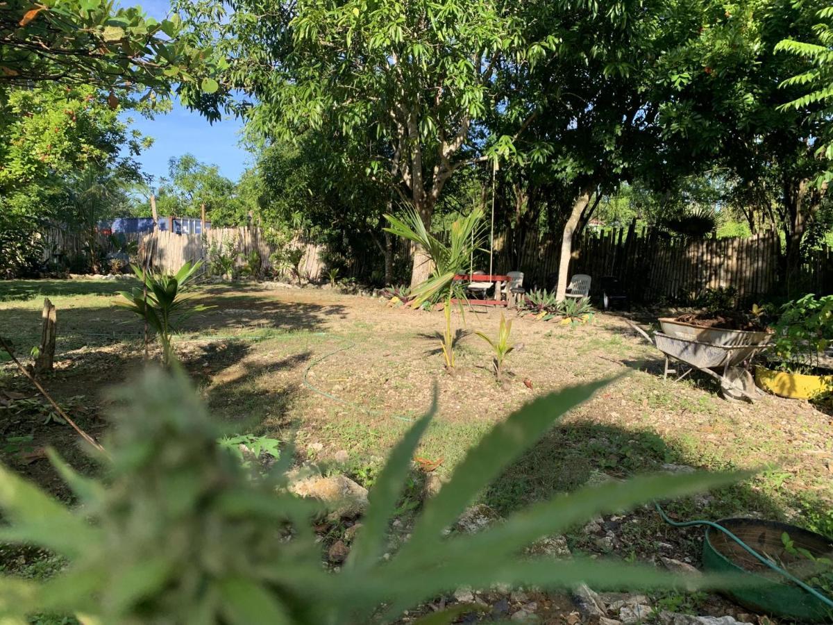 Can Jam Retreat Negril Ngoại thất bức ảnh