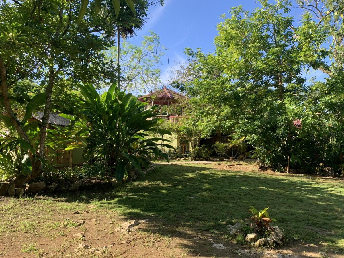 Can Jam Retreat Negril Ngoại thất bức ảnh