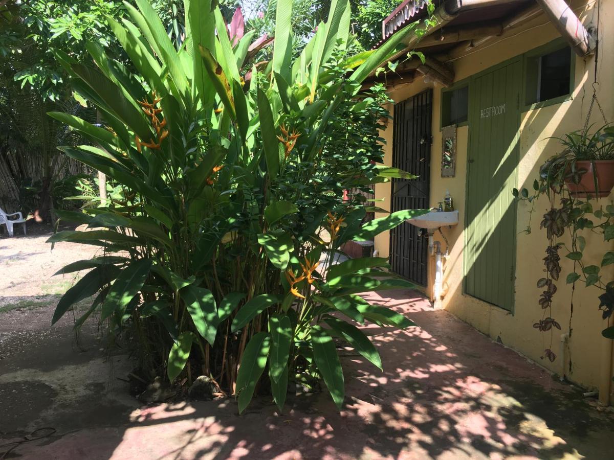 Can Jam Retreat Negril Ngoại thất bức ảnh