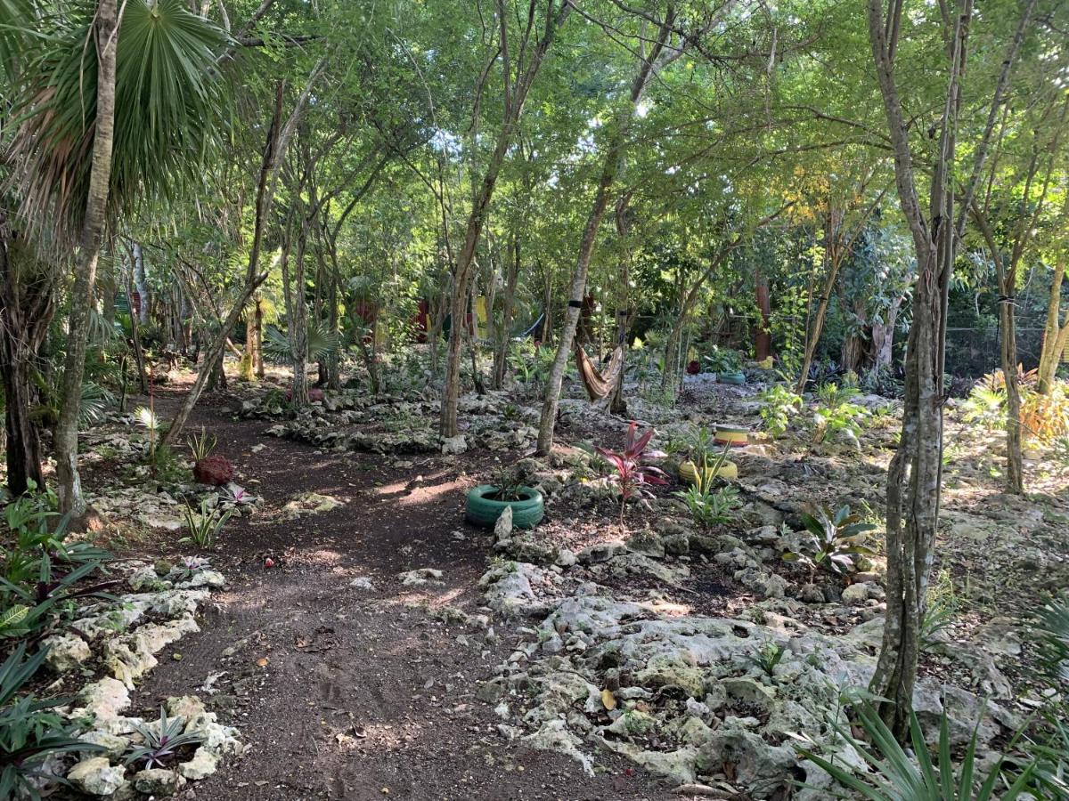 Can Jam Retreat Negril Ngoại thất bức ảnh