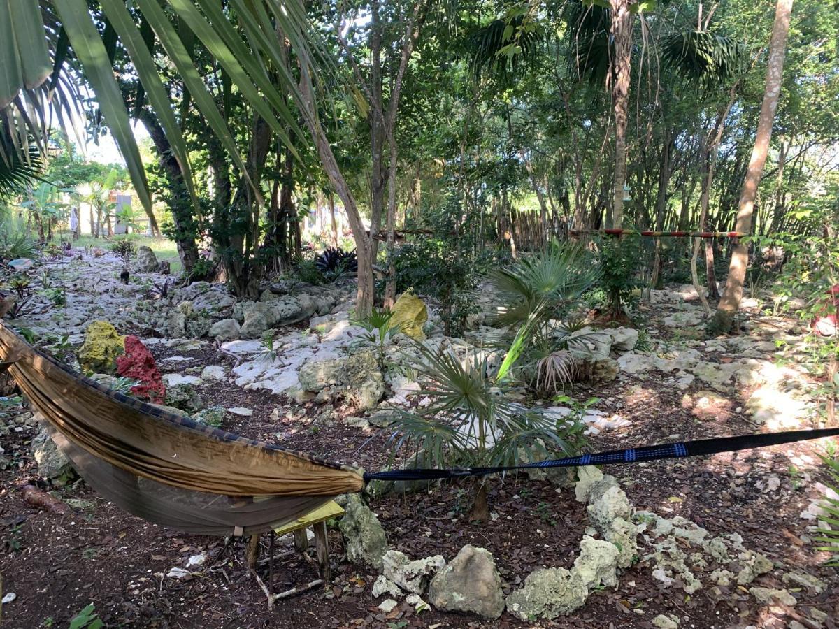 Can Jam Retreat Negril Ngoại thất bức ảnh
